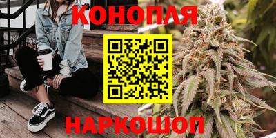 крисы Кунгур