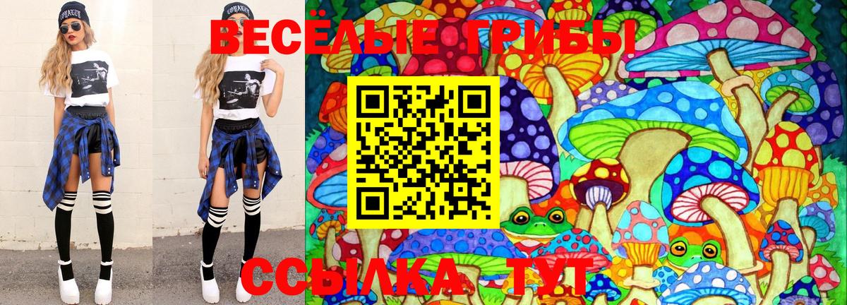 Галлюциногенные грибы Cubensis Берёзовский