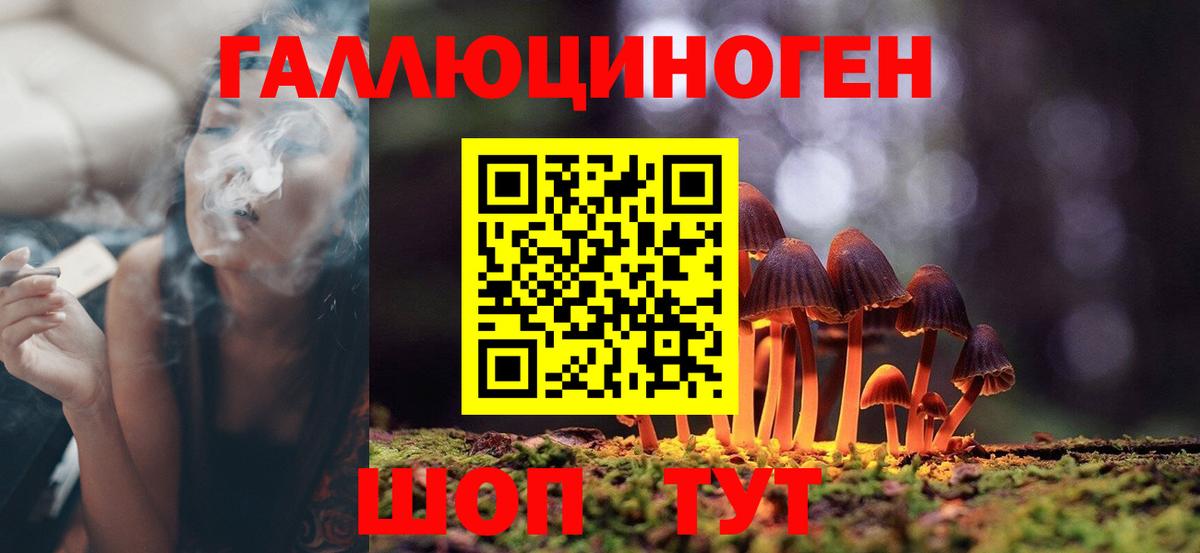 где найти наркотики  Псилоцибиновые грибы Magic Shrooms  Вход с VPN  Берёзовский 
